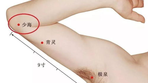 每天按這五個生發穴，禿頭前的最后機會——你的毛囊還來得及搶救